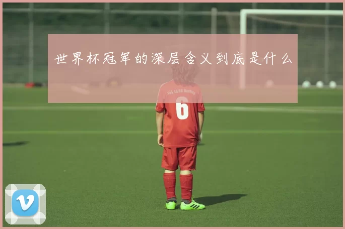 世界杯冠军的深层含义到底是什么