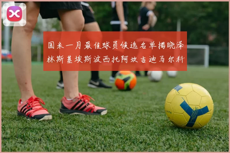 国米一月最佳球员候选名单揭晓泽林斯基埃斯波西托阿坎吉迪马尔科争夺荣誉