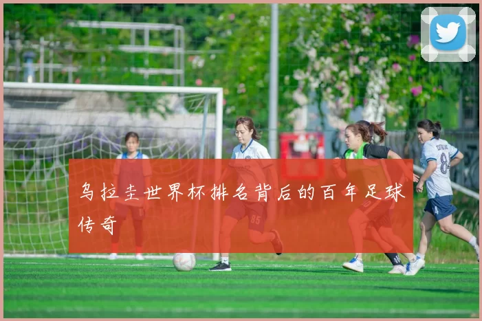 乌拉圭世界杯排名背后的百年足球传奇