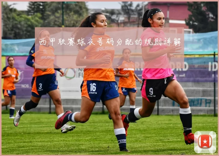 西甲联赛球衣号码分配的规则详解