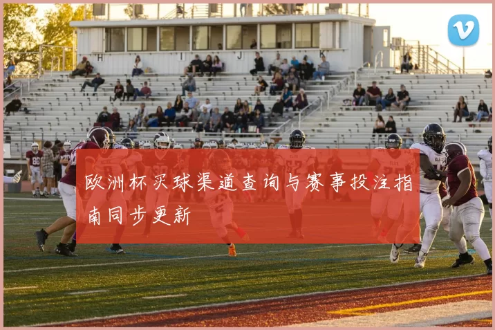 欧洲杯买球渠道查询与赛事投注指南同步更新