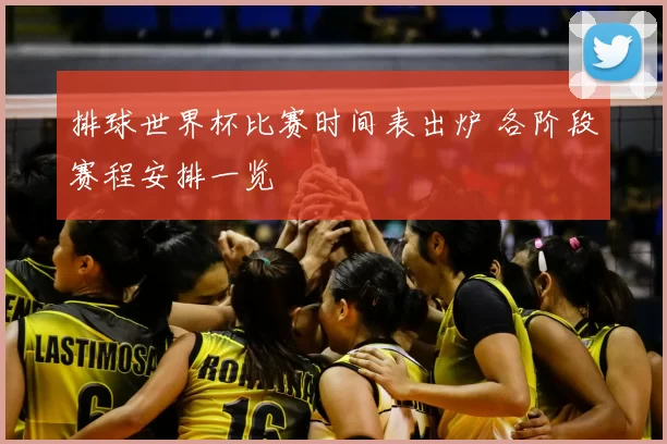 排球世界杯比赛时间表出炉 各阶段赛程安排一览