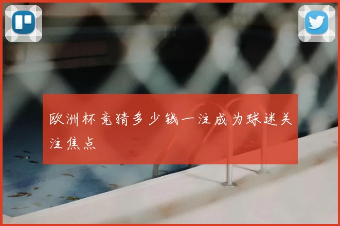 欧洲杯竞猜多少钱一注成为球迷关注焦点
