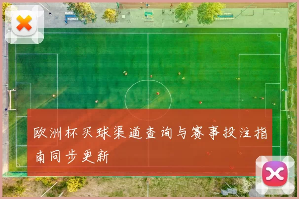欧洲杯买球渠道查询与赛事投注指南同步更新