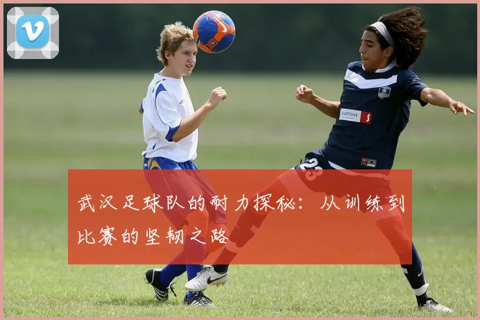 武汉足球队的耐力探秘:从训练到比赛的坚韧之路