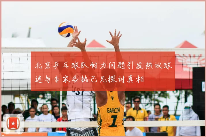北京乒乓球队耐力问题引发热议球迷与专家各执己见探讨真相