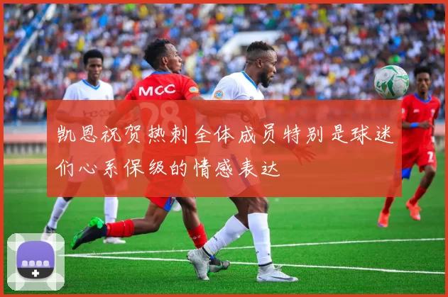 凯恩祝贺热刺全体成员特别是球迷们心系保级的情感表达