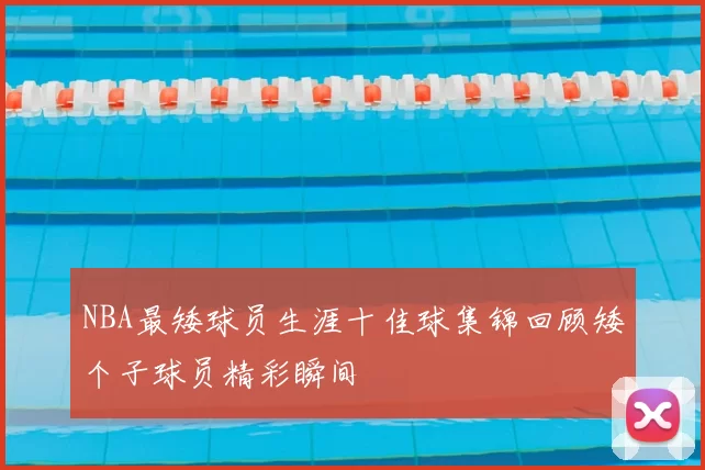 NBA最矮球员生涯十佳球集锦回顾矮个子球员精彩瞬间