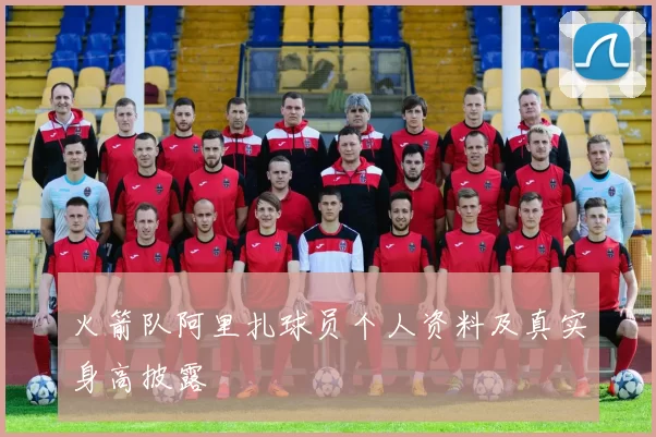 火箭队阿里扎球员个人资料及真实身高披露