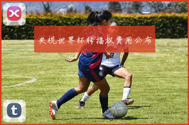 央视世界杯转播权费用公布