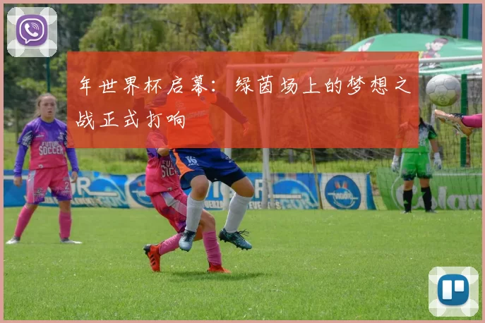 年世界杯启幕:绿茵场上的梦想之战正式打响