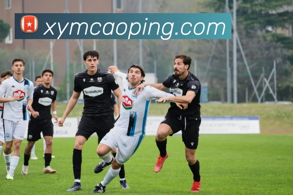 kaiyun平台生态图