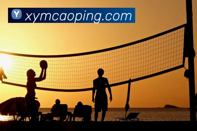 App Interface Preview